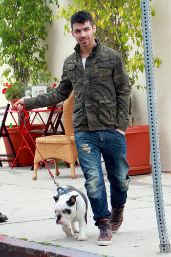 Joe+Jonas+Joe+Jonas+takes+bulldog+Winston+B10ScVKTMjEl - Joe Jonas takes his bulldog Winston for a walk