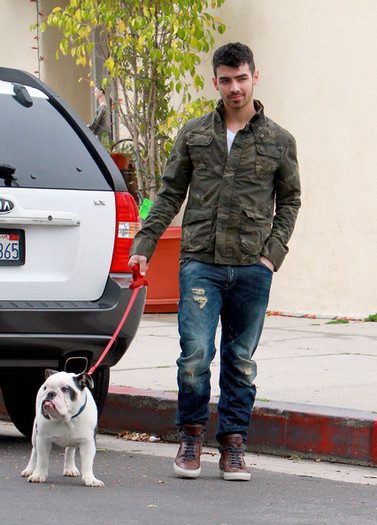 Joe+Jonas+Joe+Jonas+takes+bulldog+Winston+jWFaqTMHdknl - Joe Jonas takes his bulldog Winston for a walk