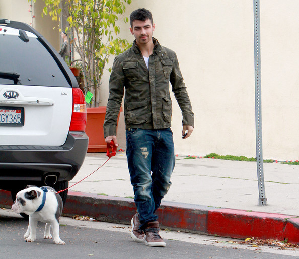 Joe+Jonas+Joe+Jonas+takes+bulldog+Winston+pNvlJ9mJV5Ol - Joe Jonas takes his bulldog Winston for a walk