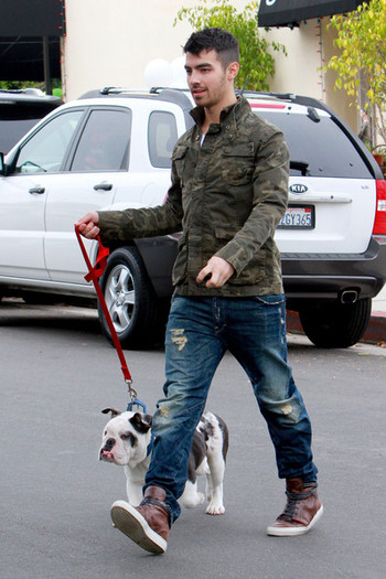 Joe+Jonas+Joe+Jonas+takes+bulldog+Winston+t2odlj8cWmfl - Joe Jonas takes his bulldog Winston for a walk
