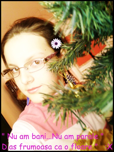 denysa