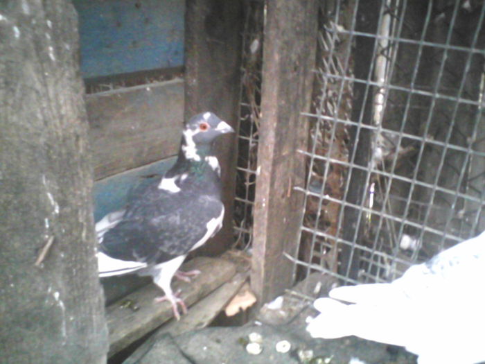 P17-03-11_06.59[1]
