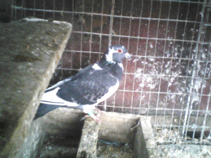 P19-03-11_15.49[1]