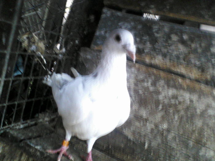 P20-03-11_10.50[3]