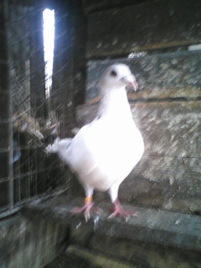 P20-03-11_10.50[1]