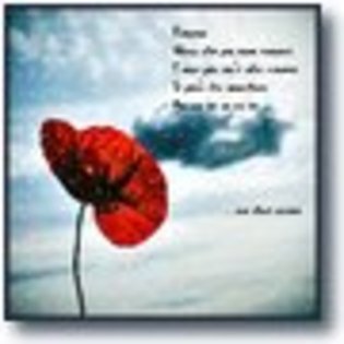 Ice  a aut o mare  putere - Zana primaveri