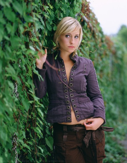 Allison Mack (3)