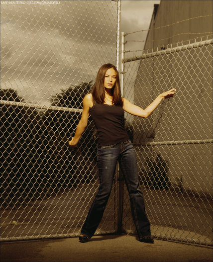 Kristin Kreuk (12)