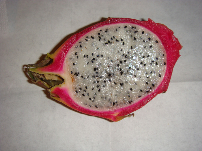 DSC01749 - Pitahaya - Hylocereus - Dragon fruit