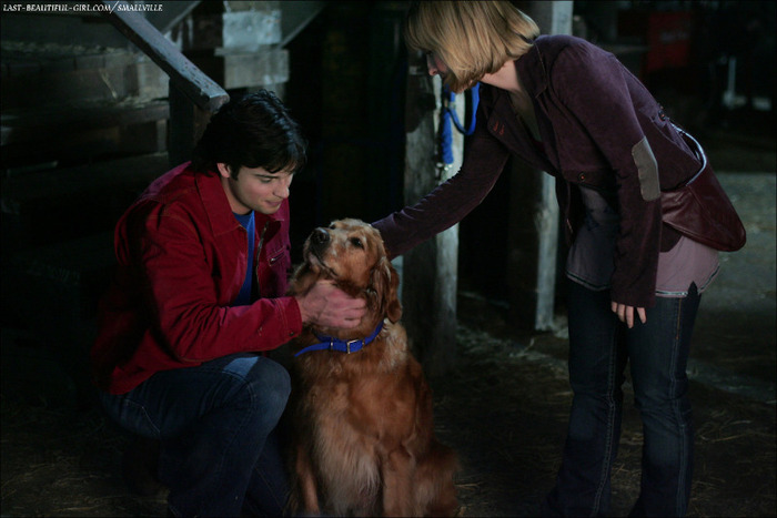 Smallville (26) - x Season 6 x