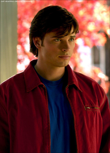 Smallville (32)