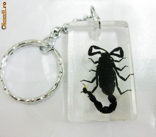 247329968-2356588-700_700 - babynamnam oferta