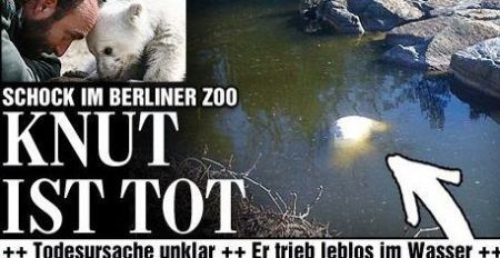 knut-tot-thomasdoerfleinnpagede