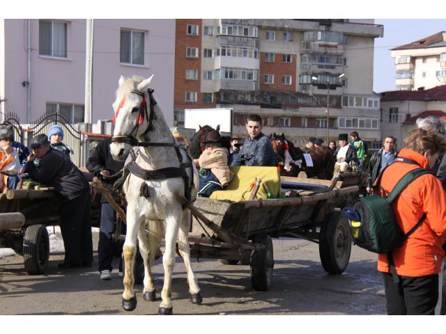 Maine_bulgarii_din_Targoviste_sarbatoresc_Pastele_cailor_1299850331