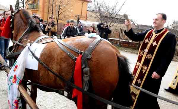NIS_5659 - Pastele Cailor targoviste