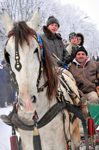 ART_Multimedia_11 - botezul cailor in tara