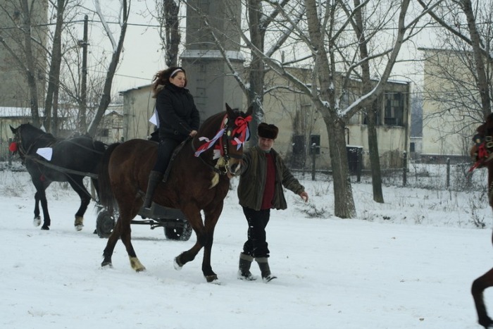 boboteaza-6-ianuarie-2010-052 - botezul cailor in tara
