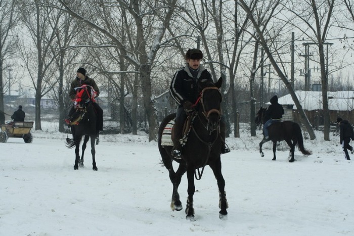 boboteaza-6-ianuarie-2010-057 - botezul cailor in tara