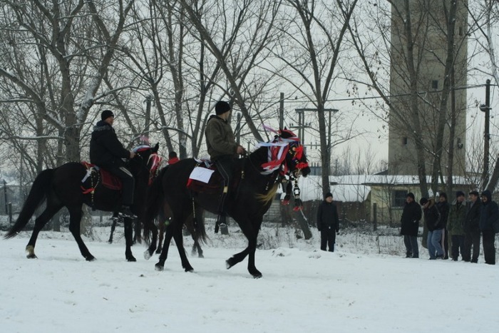 boboteaza-6-ianuarie-2010-058 - botezul cailor in tara