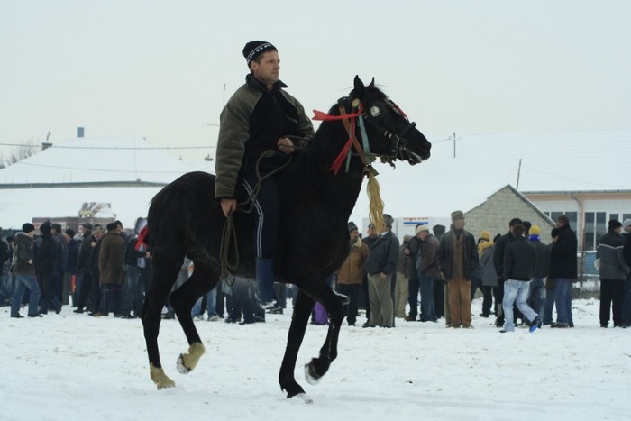 boboteaza-6-ianuarie-2010-079 - botezul cailor in tara