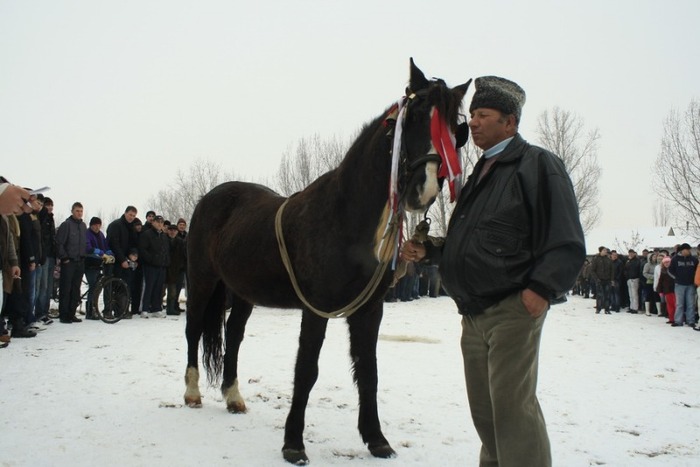 boboteaza-6-ianuarie-2010-108