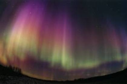 images (3) - Aurora Boreala