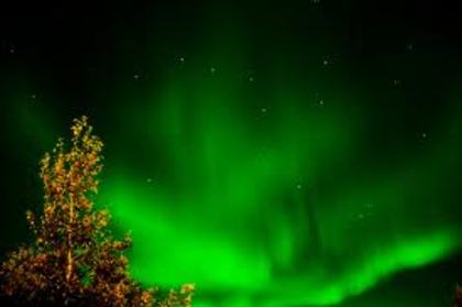 images (6) - Aurora Boreala