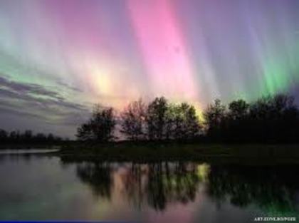 images (8) - Aurora Boreala