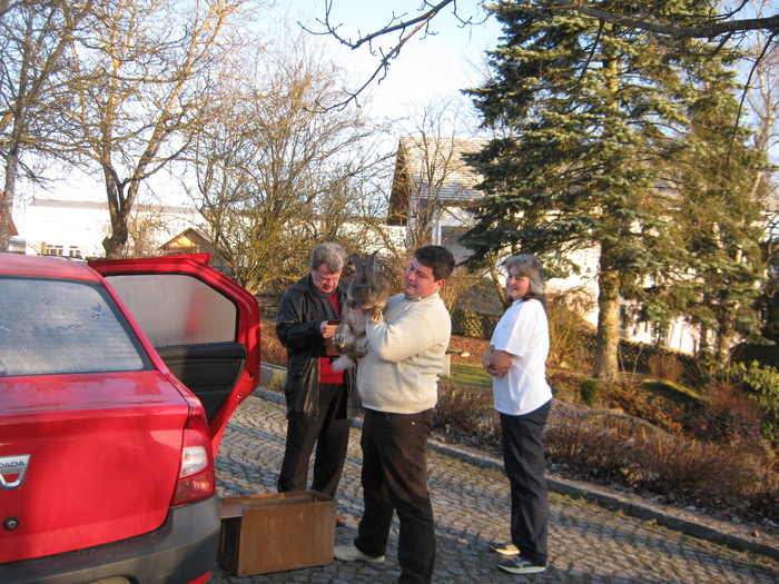 crescatori din romania in austria - 7-anunt important