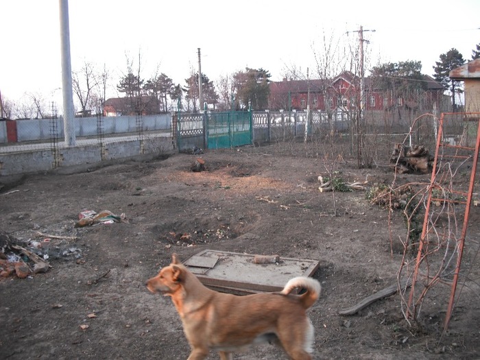  - Curtea si gradina in constructie