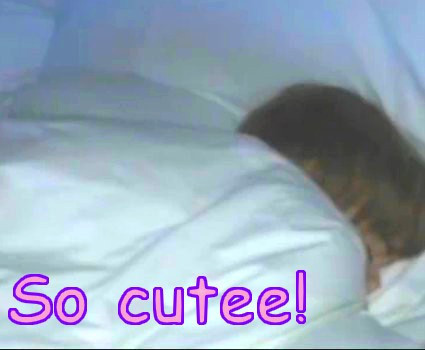 -Justin-Bieber-sleeping-justin-bieber-14167592-425-350