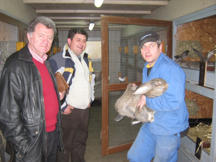 dr.Ciurea-Csabi-Holl norbert