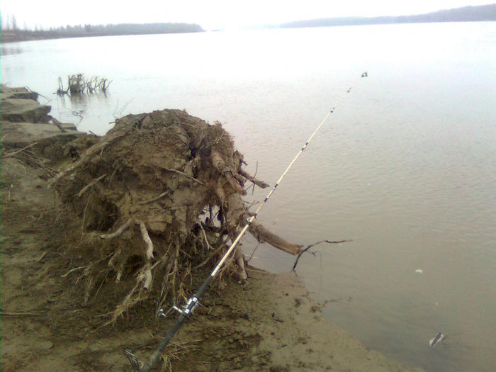 Imagine0114 - prima partida de pescuit pe 2011