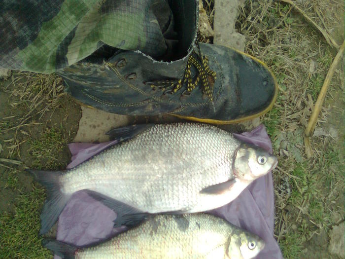 Imagine0121 - prima partida de pescuit pe 2011