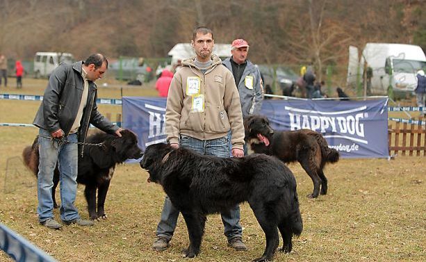 Expo Club Rasnov 2011