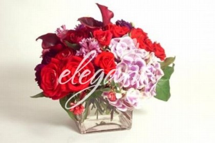 2256_4631d5eabca53 - Flori
