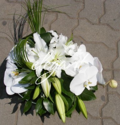 2780_4b042f9200074 - Flori