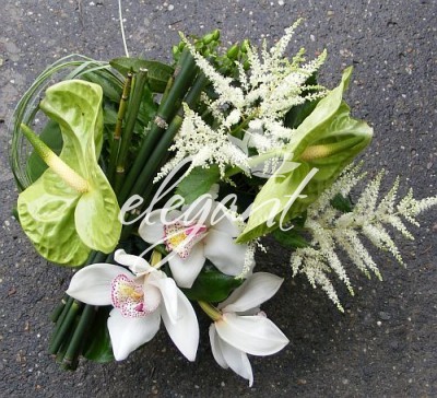 2782_4b0430c4e32a9 - Flori