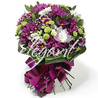 2790_4b043a1386616 - Flori