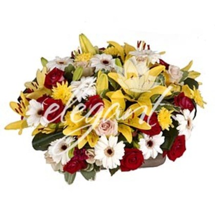 2793_4b043b4cc7dfa - Flori