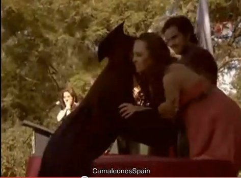 CamaleonesSpain - Belinda