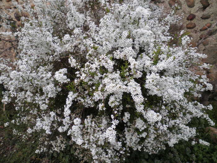 P3180050 - UN NOU INCEPUT-FRANCE