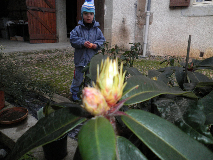 P3180052 - UN NOU INCEPUT-FRANCE