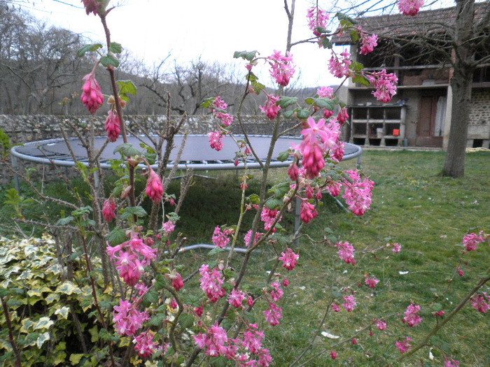 P3180060 - UN NOU INCEPUT-FRANCE