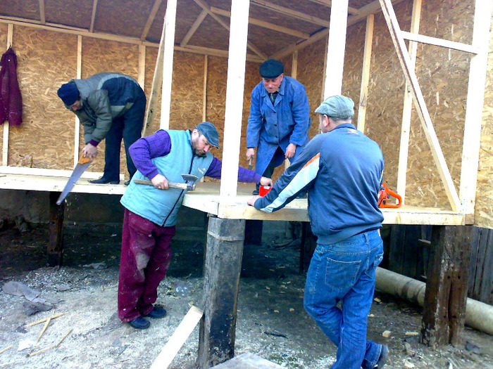 Toată lumea muncește - VOLIERA in constructie 2011