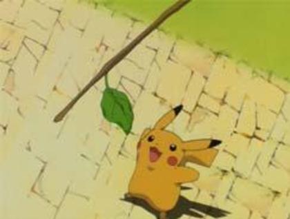 Pikachu:Incepe o zi minunata!