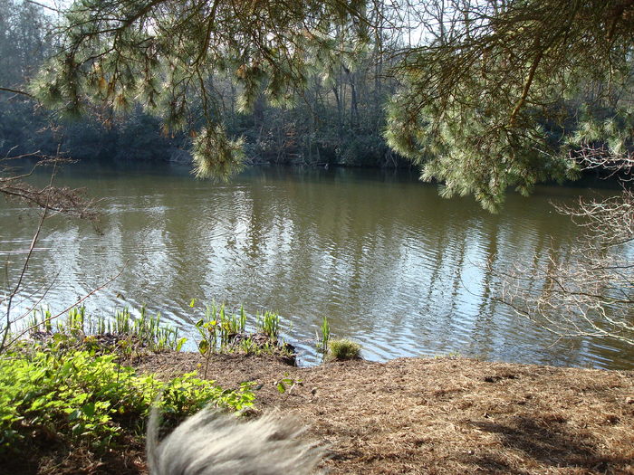 DSC06961
