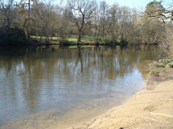 DSC06965