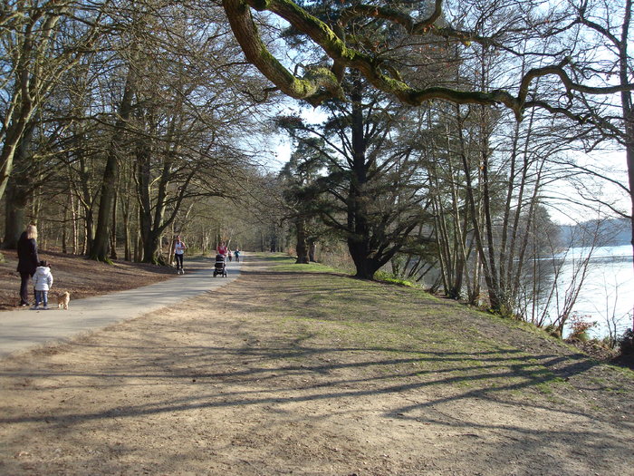 DSC06966