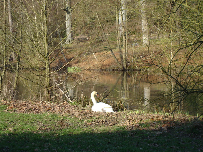 DSC06987